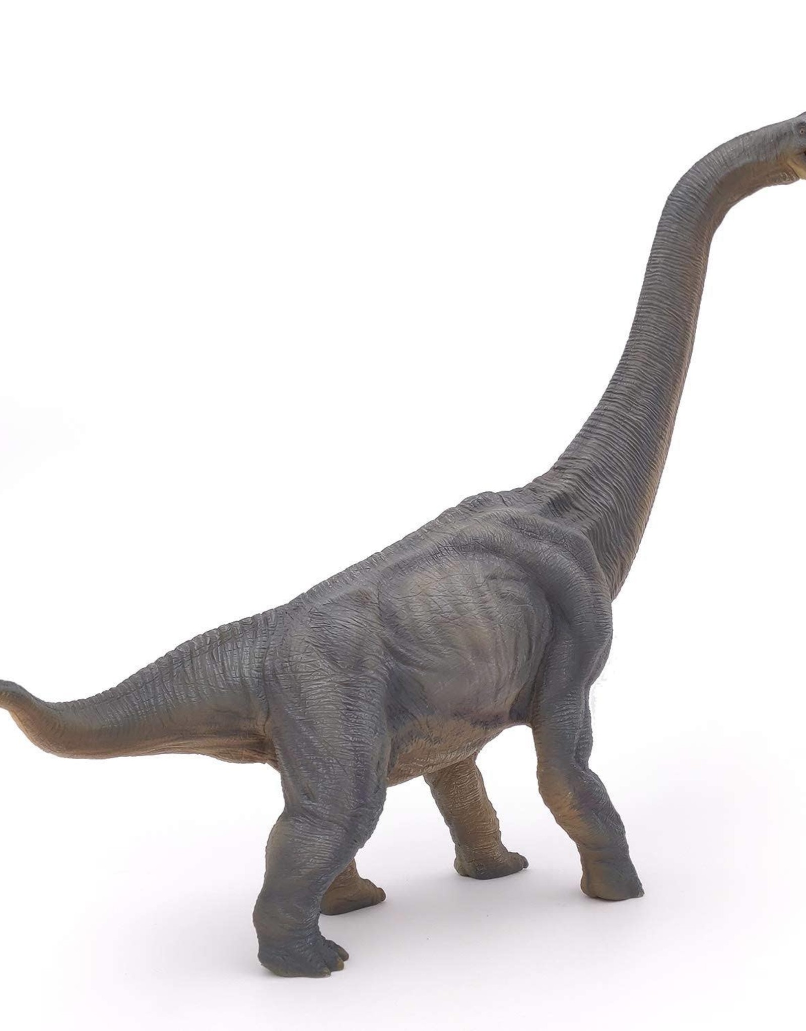 Papo Papo Brachiosaurus