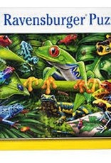 Ravensburger Amazing Amphibians 35pc RAV05174