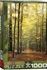 Eurographics Forest Path 1000pc