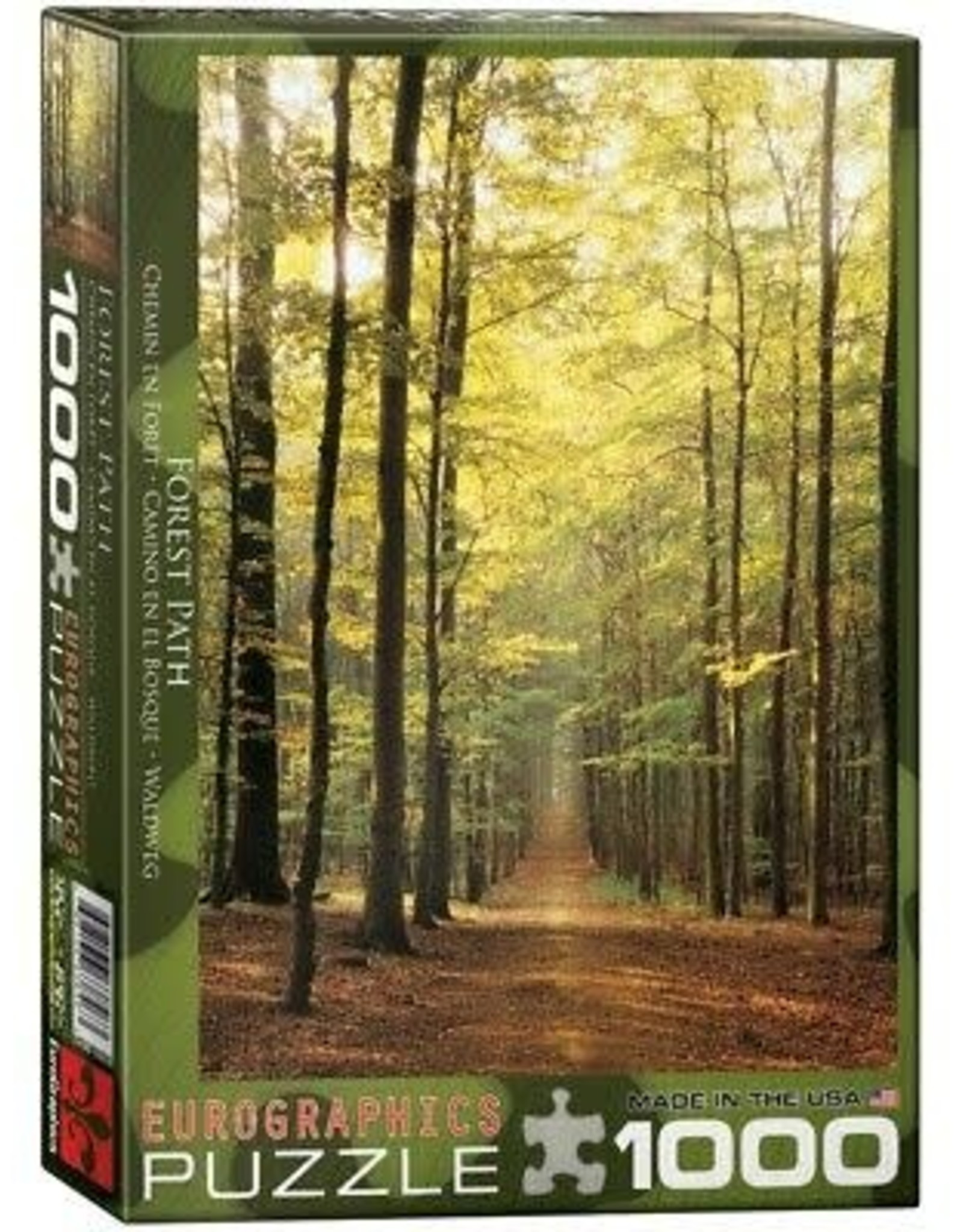 Eurographics Forest Path 1000pc