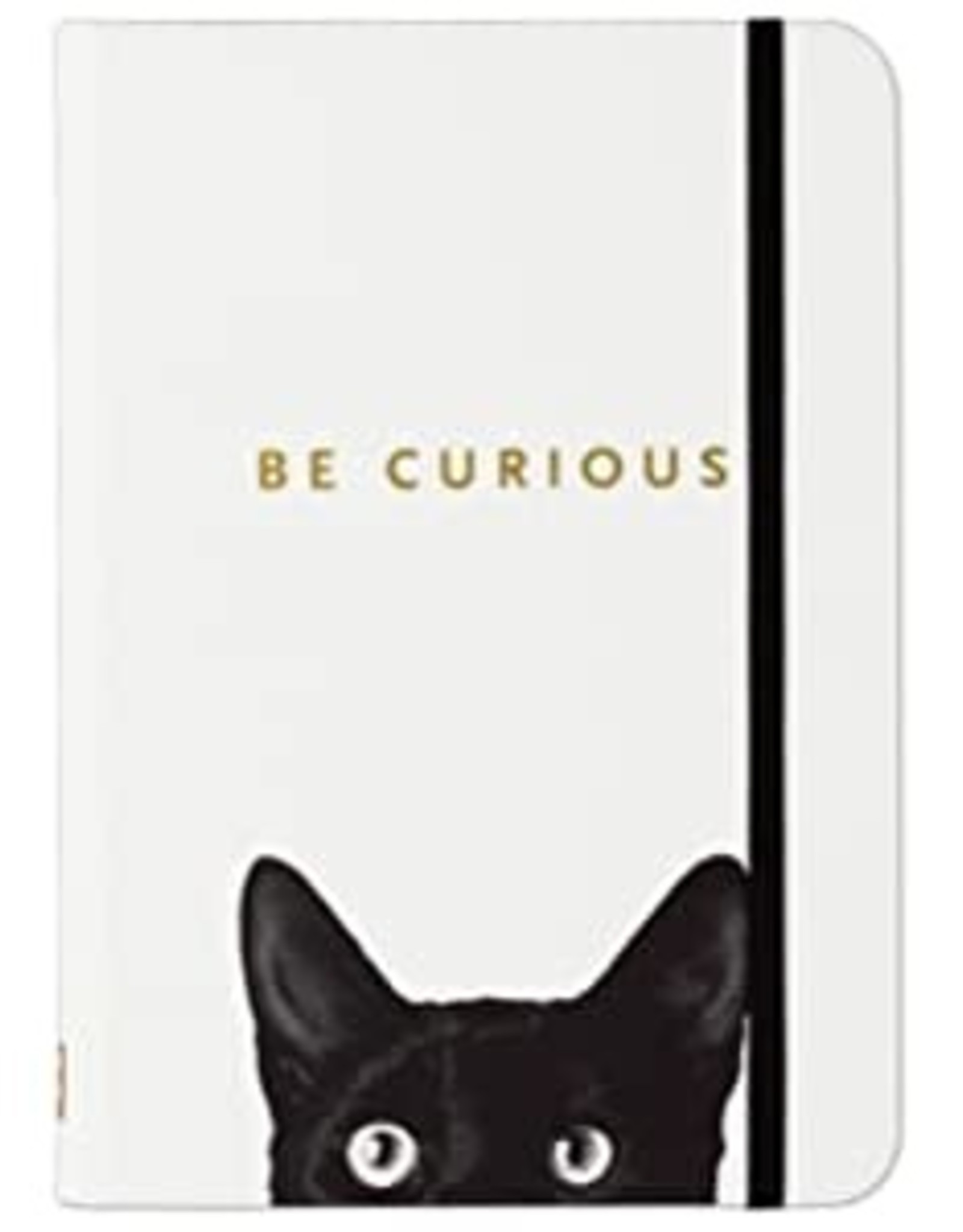 Peter Pauper Press CURIOUS CAT JOURNAL