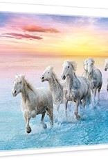 Trefl WHITE HORSES IN GALOP 500PC