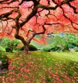 Peter Pauper Press JAPANESE MAPLE TREE 1000 PIECE JIGSAW PUZZLE