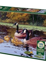 Cobble Hill Platts Pond 1000pc CH80185