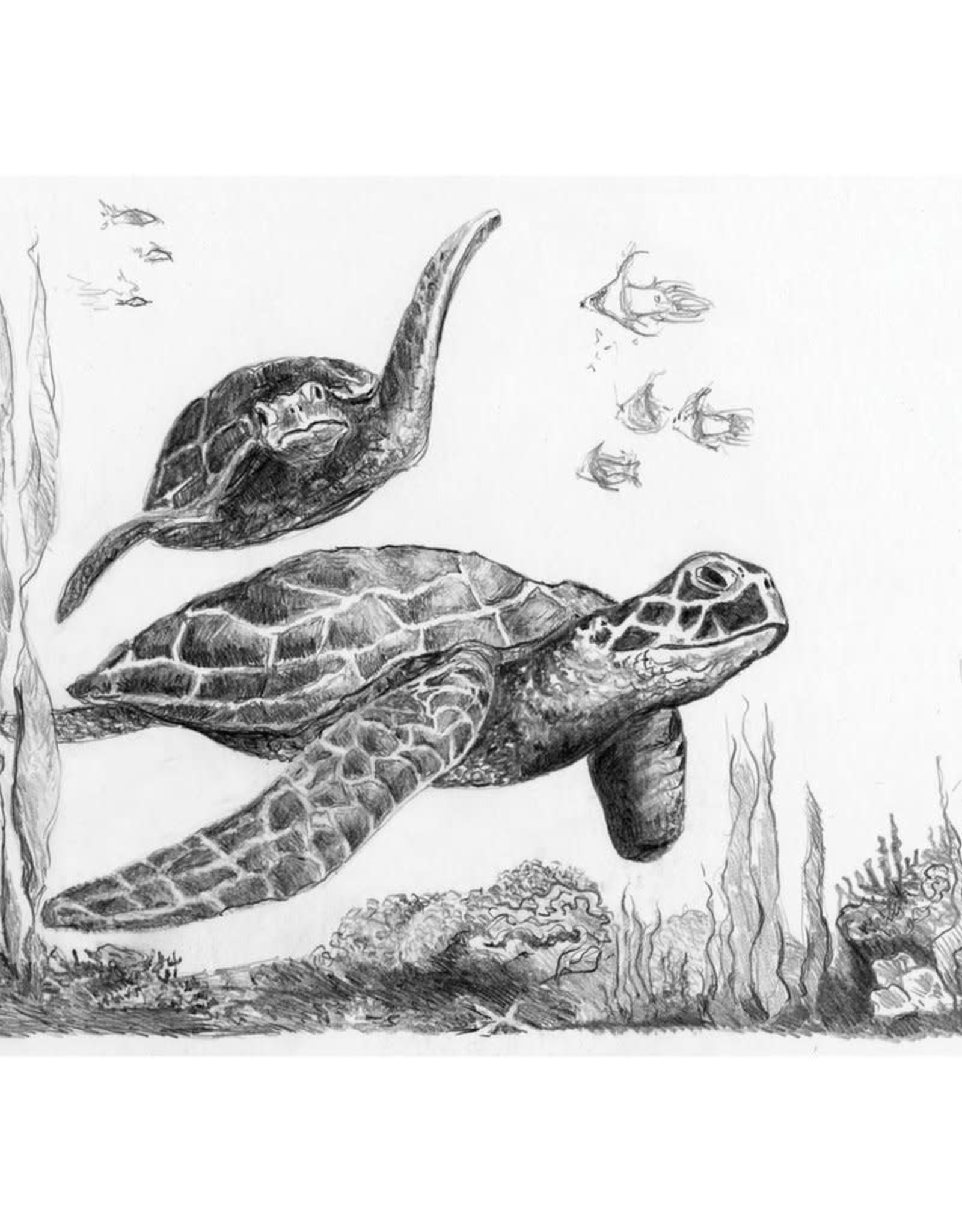 Royal Langnickel Mini Sketching Made Easy - Sea Turtles