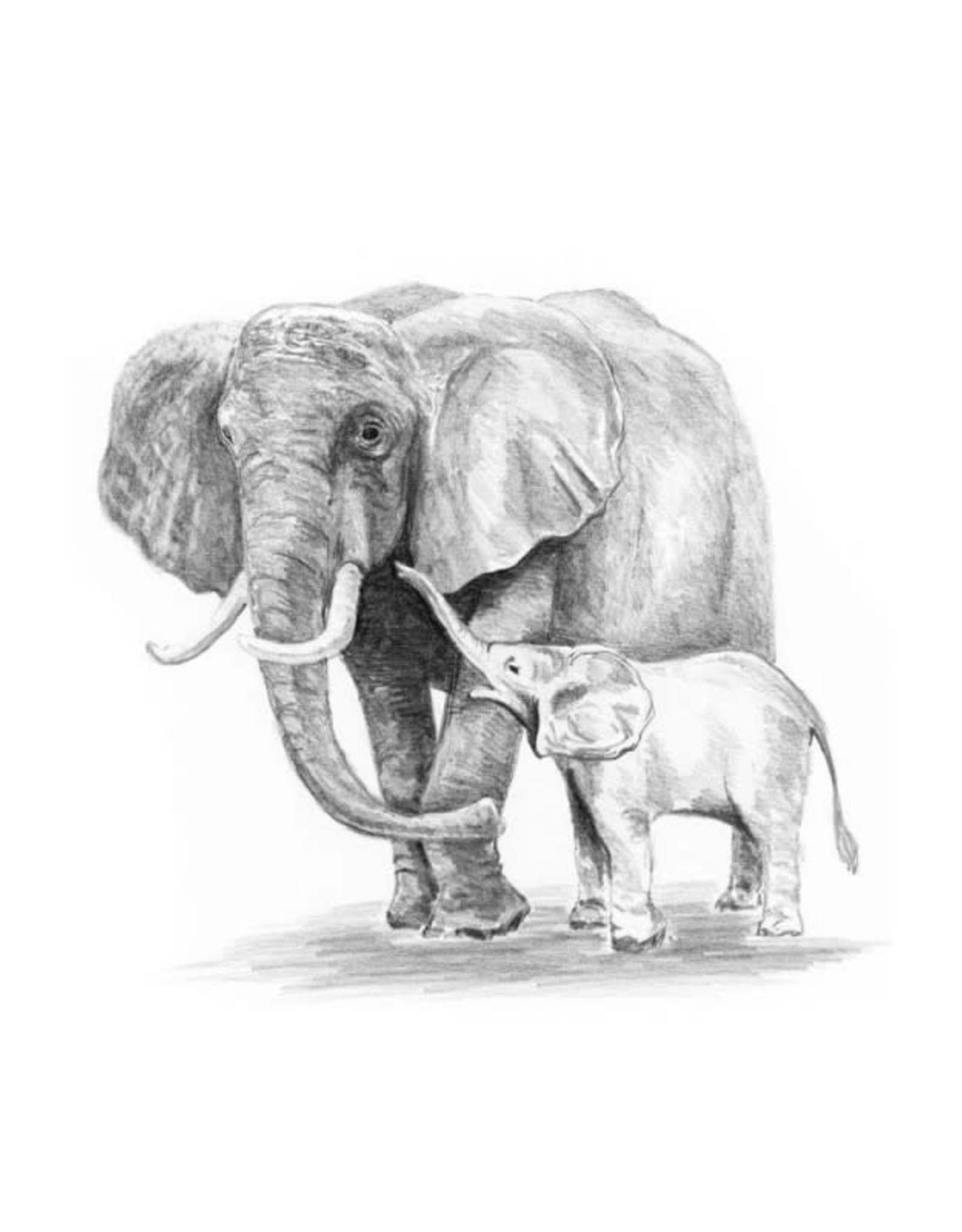 Royal Langnickel Mini SKBN Elephant and Baby