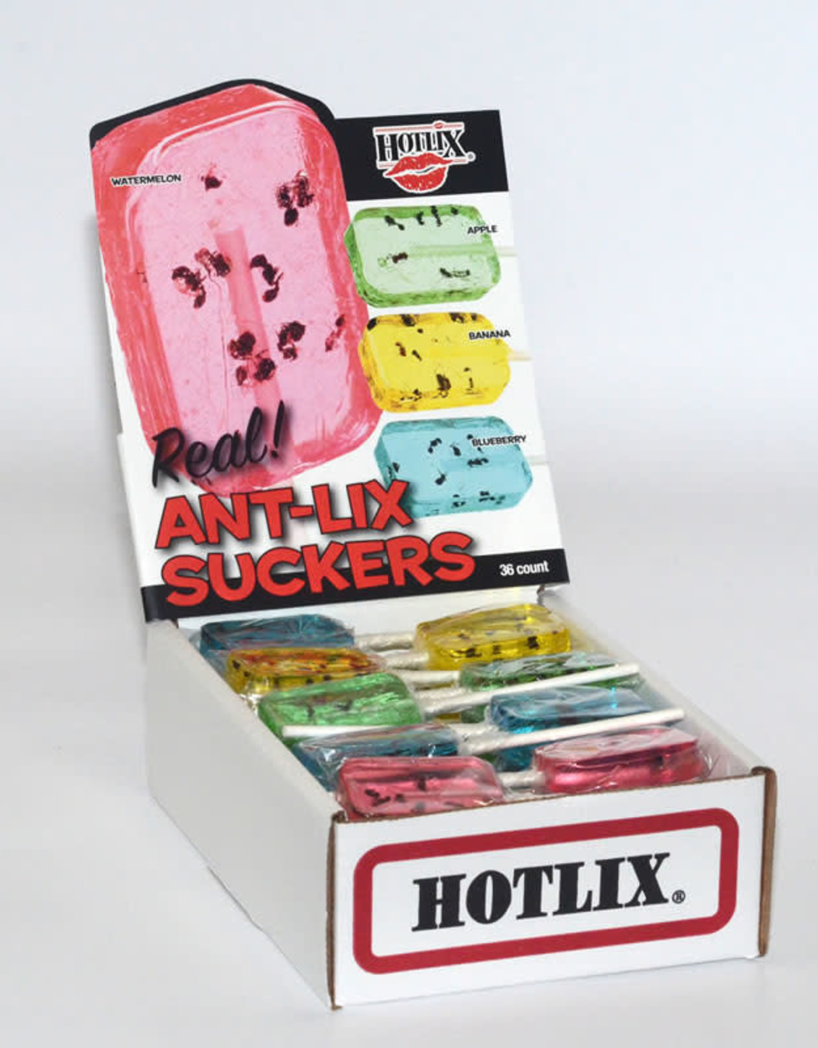 Hotlix Hotlix Real Insect Sucker Assorted