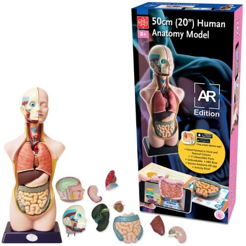 EduToys Human Torso Monkey Mountain Toys & Games