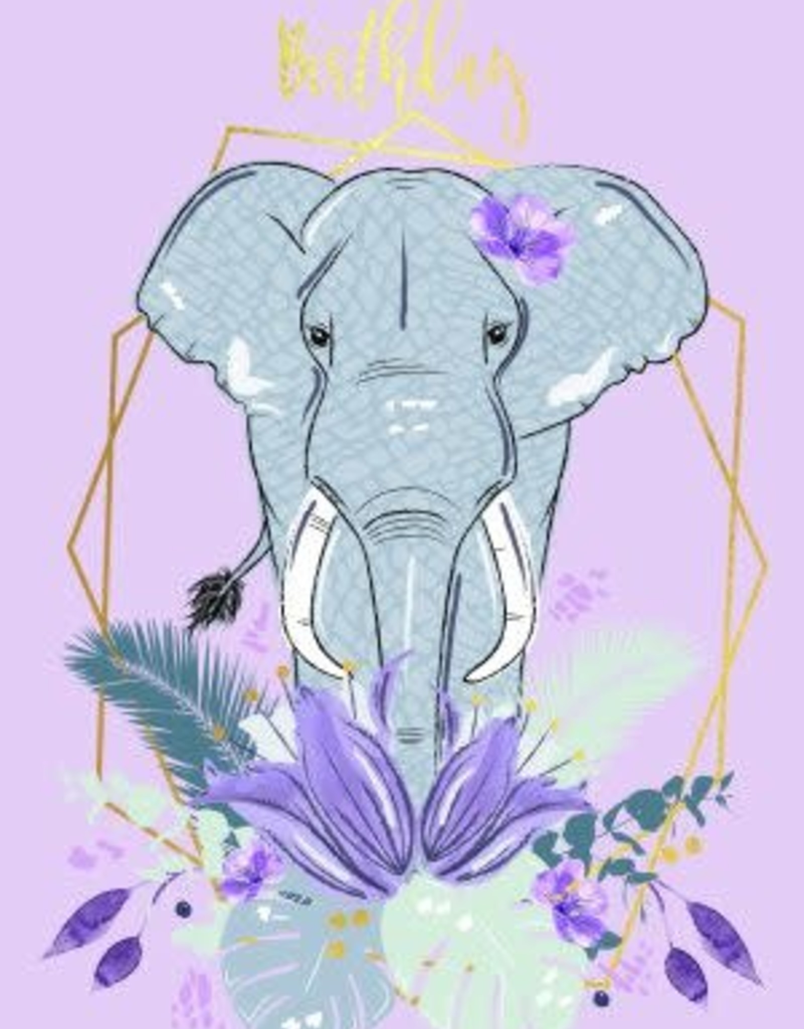 Incognito Royal Palms - Have an unforgettable birthday - Elephant 4.2" x 6.1"