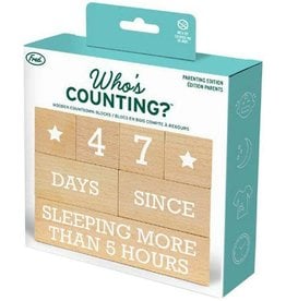 Fred & Friends Who's Counting Parenting Blocks