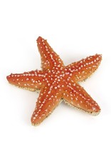 Papo Papo Starfish