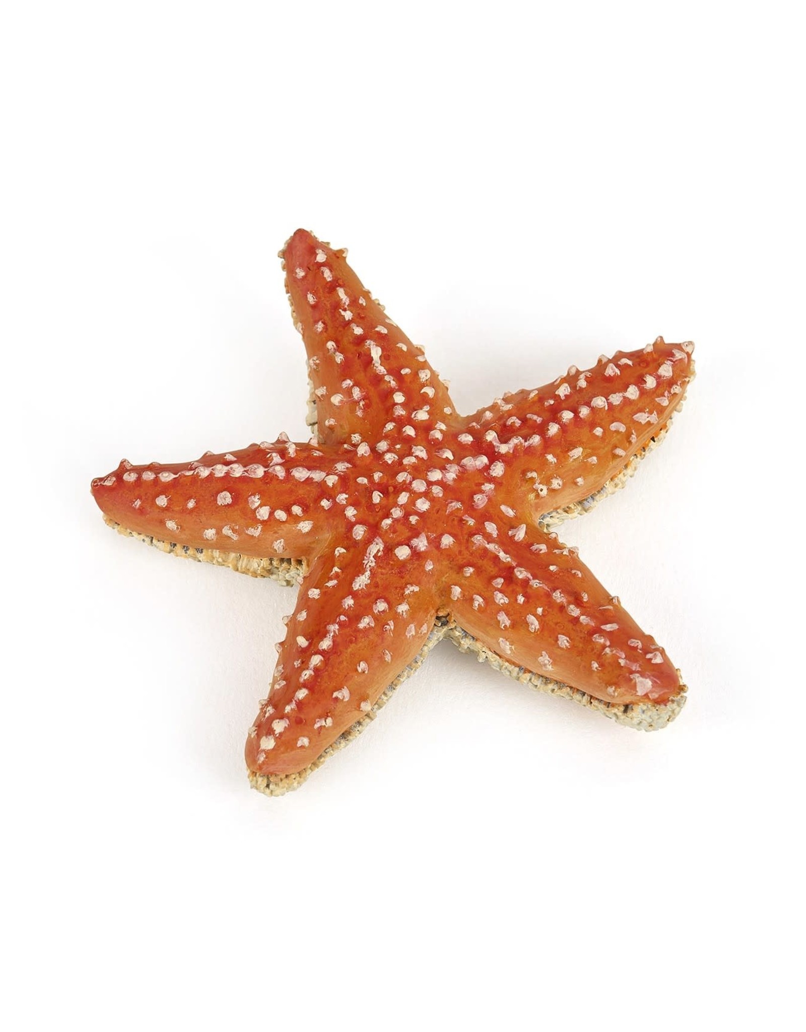 Papo Papo Starfish