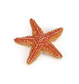 Papo Papo Starfish