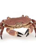 Papo Papo Crab