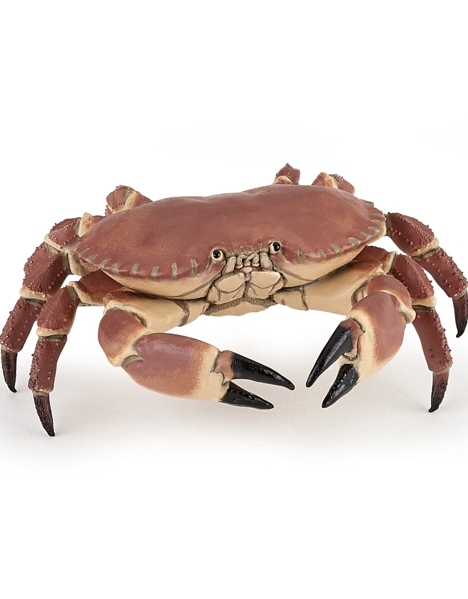 Papo Papo Crab