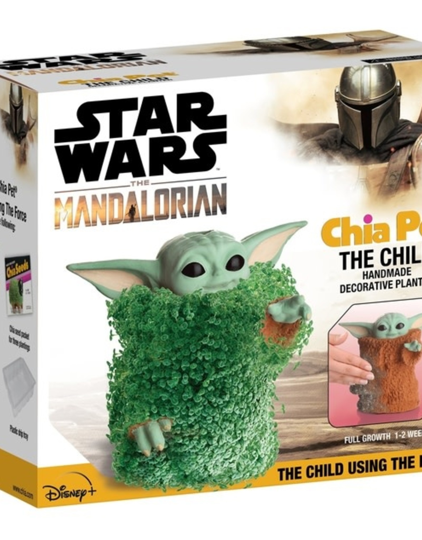 Chia Pet Chia The Child (Force Pose)