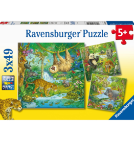 Ravensburger Jungle Fun 3x49pc RAV05180