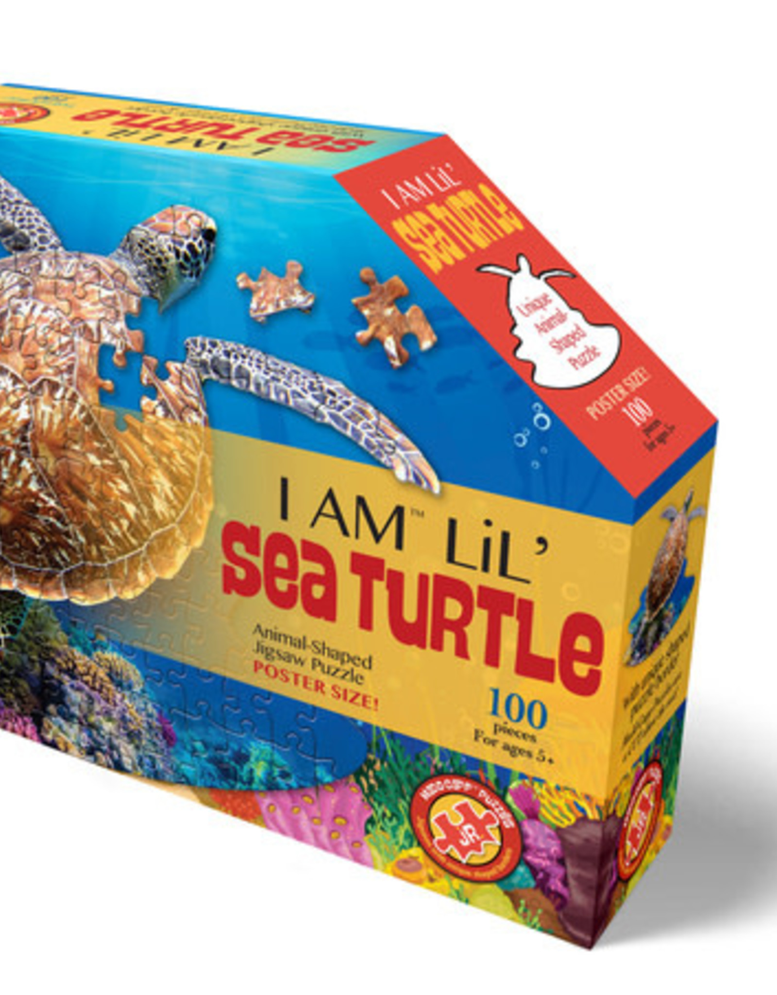 Madd Capp I AM Lil' Sea Turtle (100 pc)