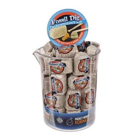 Heebie Jeebies Fossil Dig - Palaeontology Kit