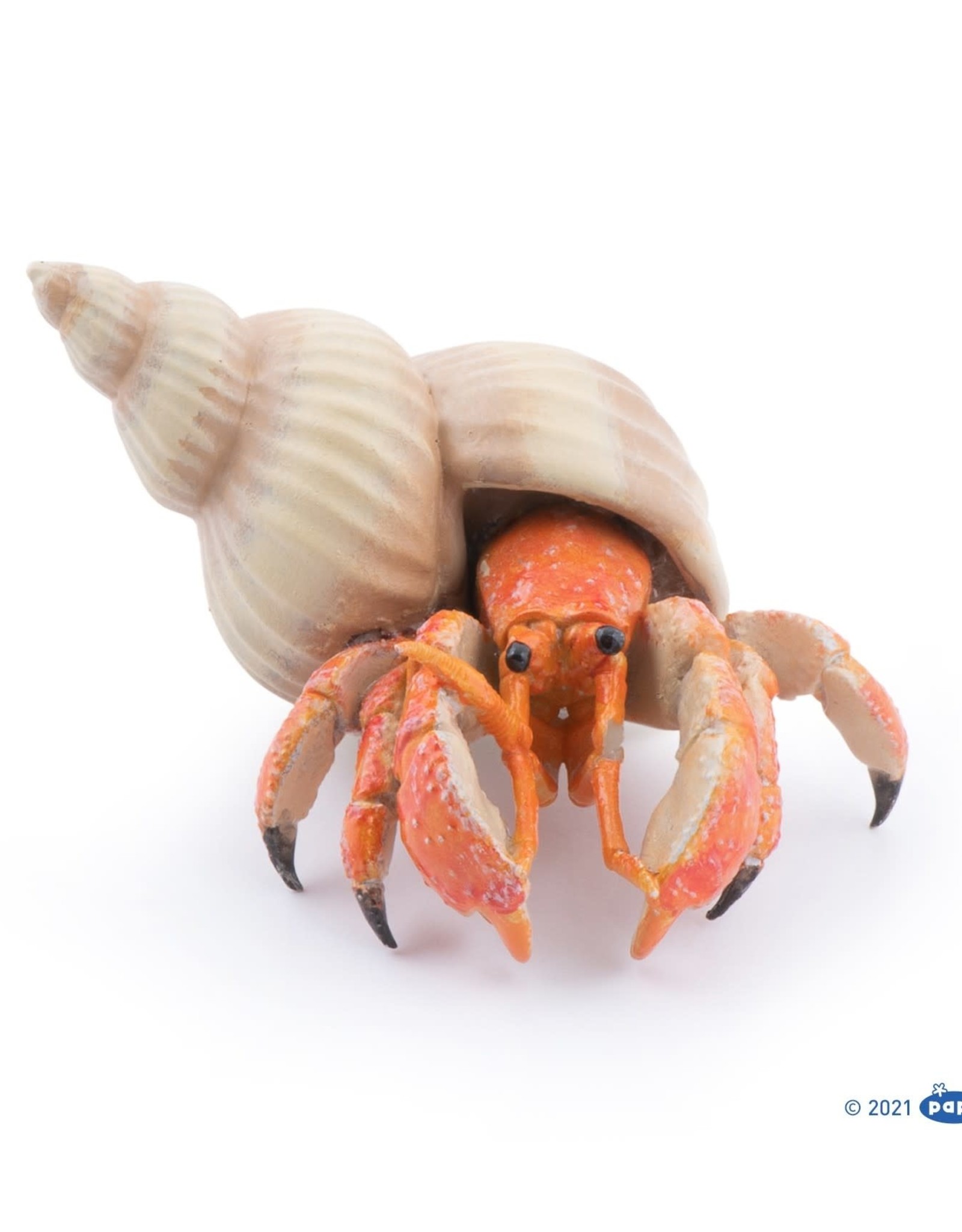 Papo Papo Hermit Crab