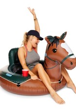 BigMouth Summer River Raft Horse