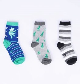 Sock It To Me YOUTH CREW PACK - ARCH-EOLOGY