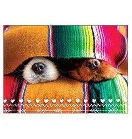 Bella Flor Cards Card-RO/Snuggle Up