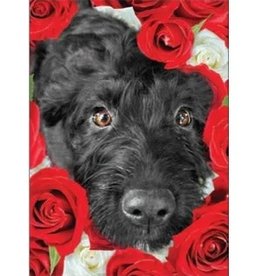 Bella Flor Cards Card-RO/Roses Are Red