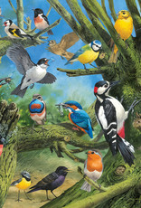 Eurographics Garden Birds by John Francis 1000pc