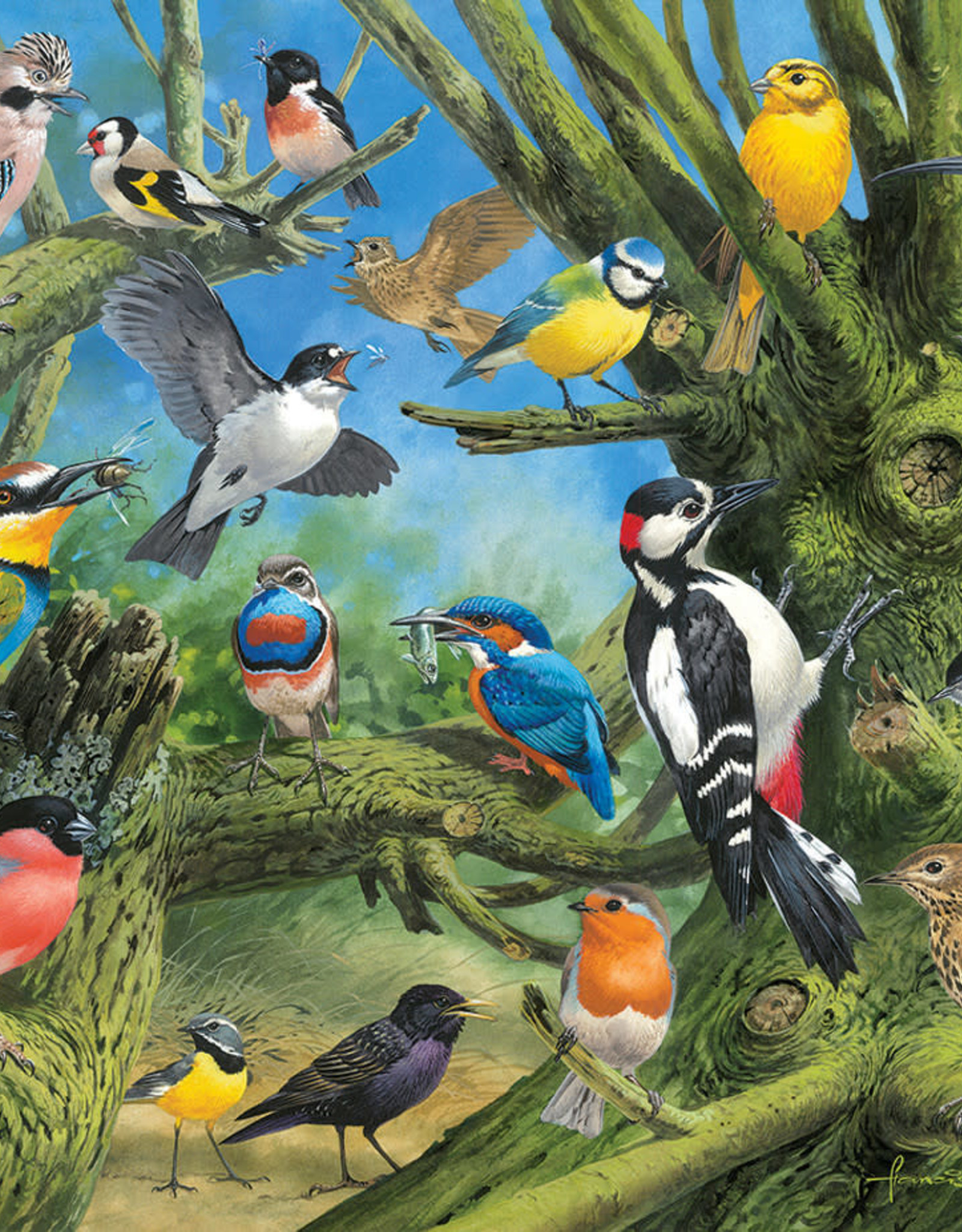 Eurographics Garden Birds by John Francis 1000pc