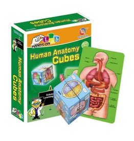 Human Anatomy Cube