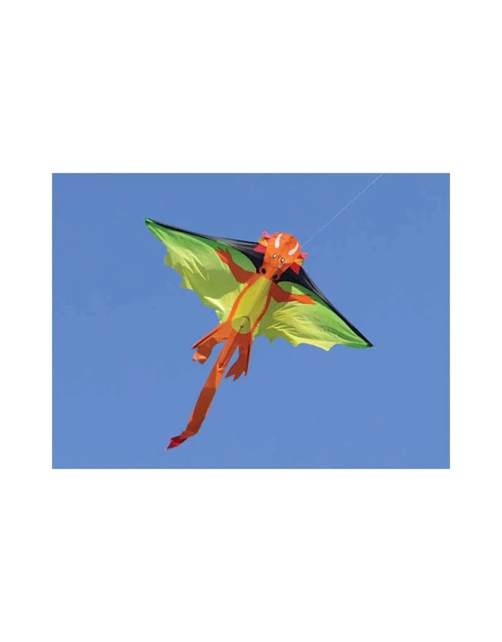 Premier Kites FLYING DRAGON KITE Monkey Mountain Toys & Games