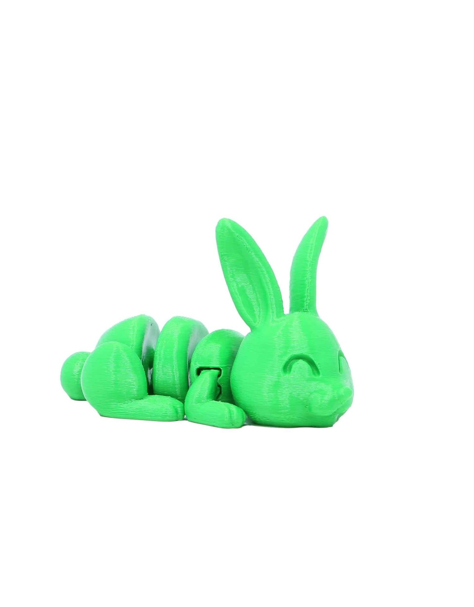 Curious Critters Bouncing Bunnies