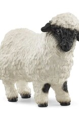 Valais Black-Nosed Sheep 13965