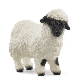 Valais Black-Nosed Sheep 13965