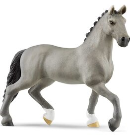 Cheval de Selle Francais Stallion 13956