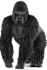 Gorilla, Male 14770