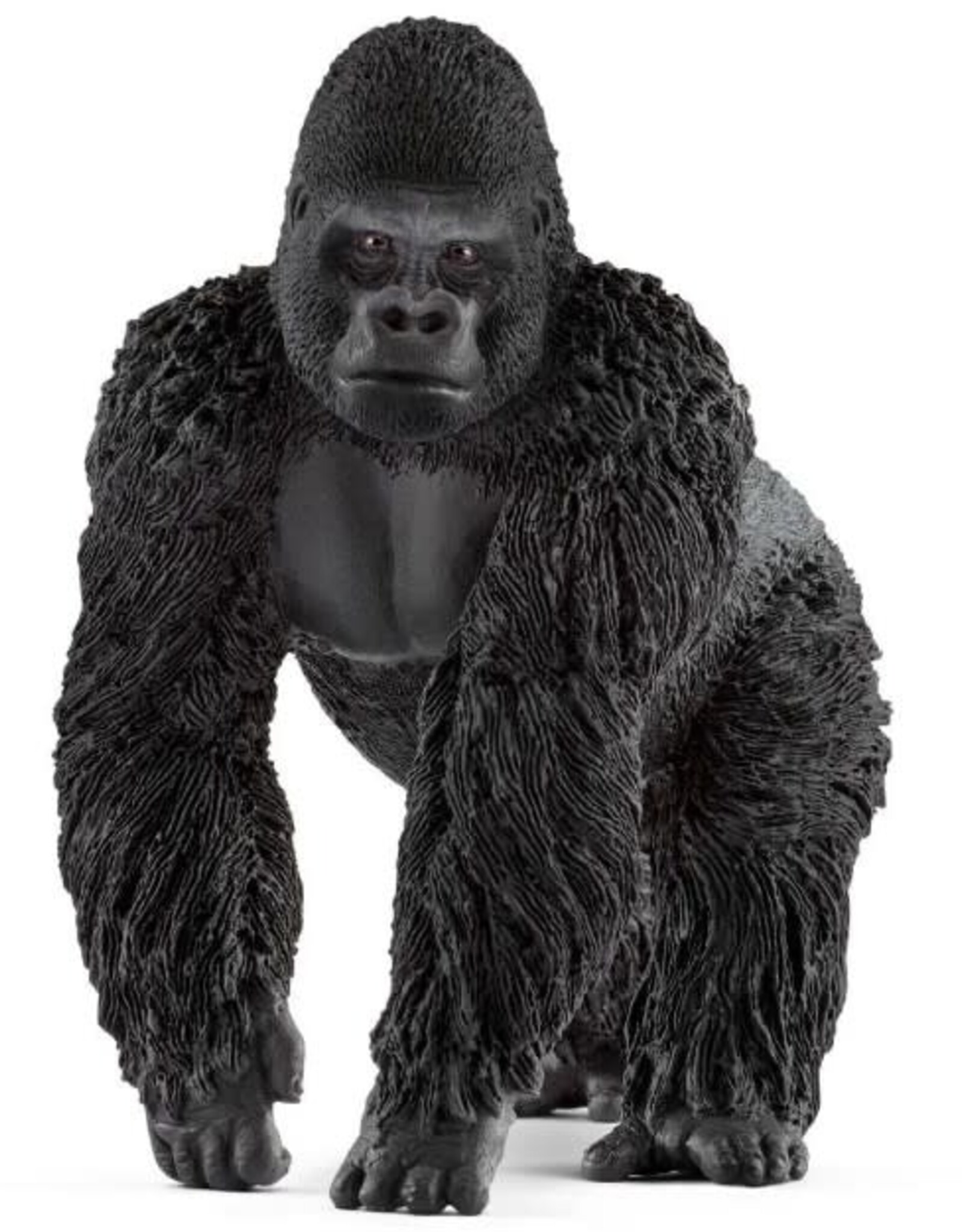 Gorilla, Male 14770
