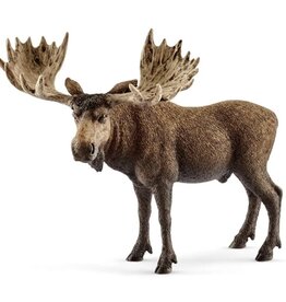 Moose Bull 14781