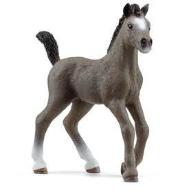 Cheval de Selle Francais Foal 13957