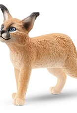 Caracal Cub Baby 14868