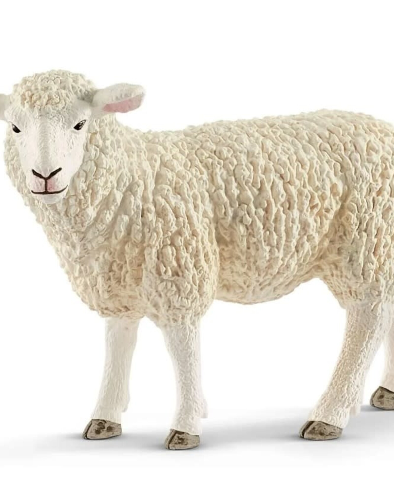 Schleich Sheep 13882