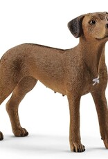Schleich Rhodesian Ridgeback 13895