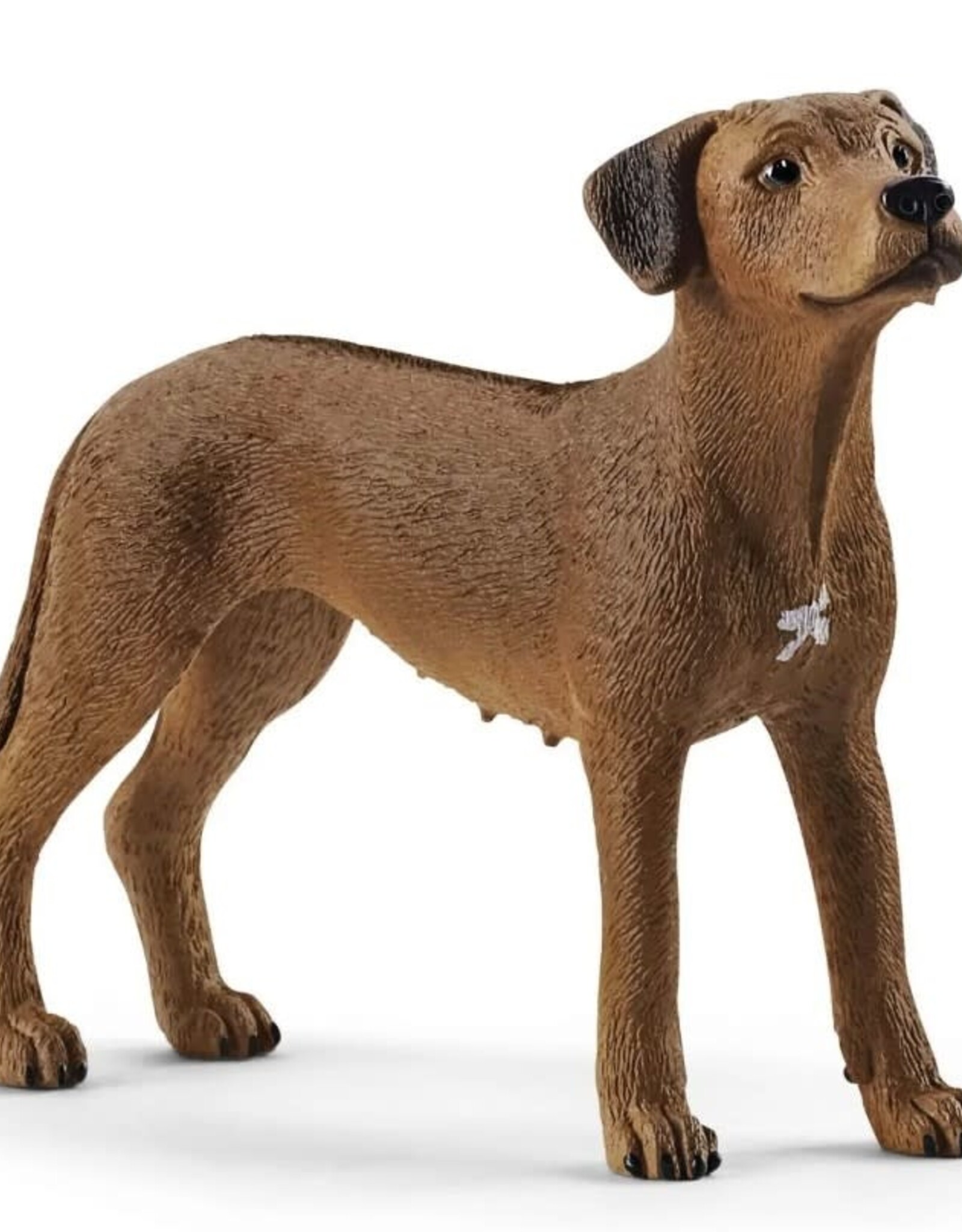 Schleich Rhodesian Ridgeback 13895