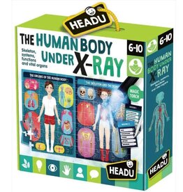 Headu The Human Body Under X-Ray