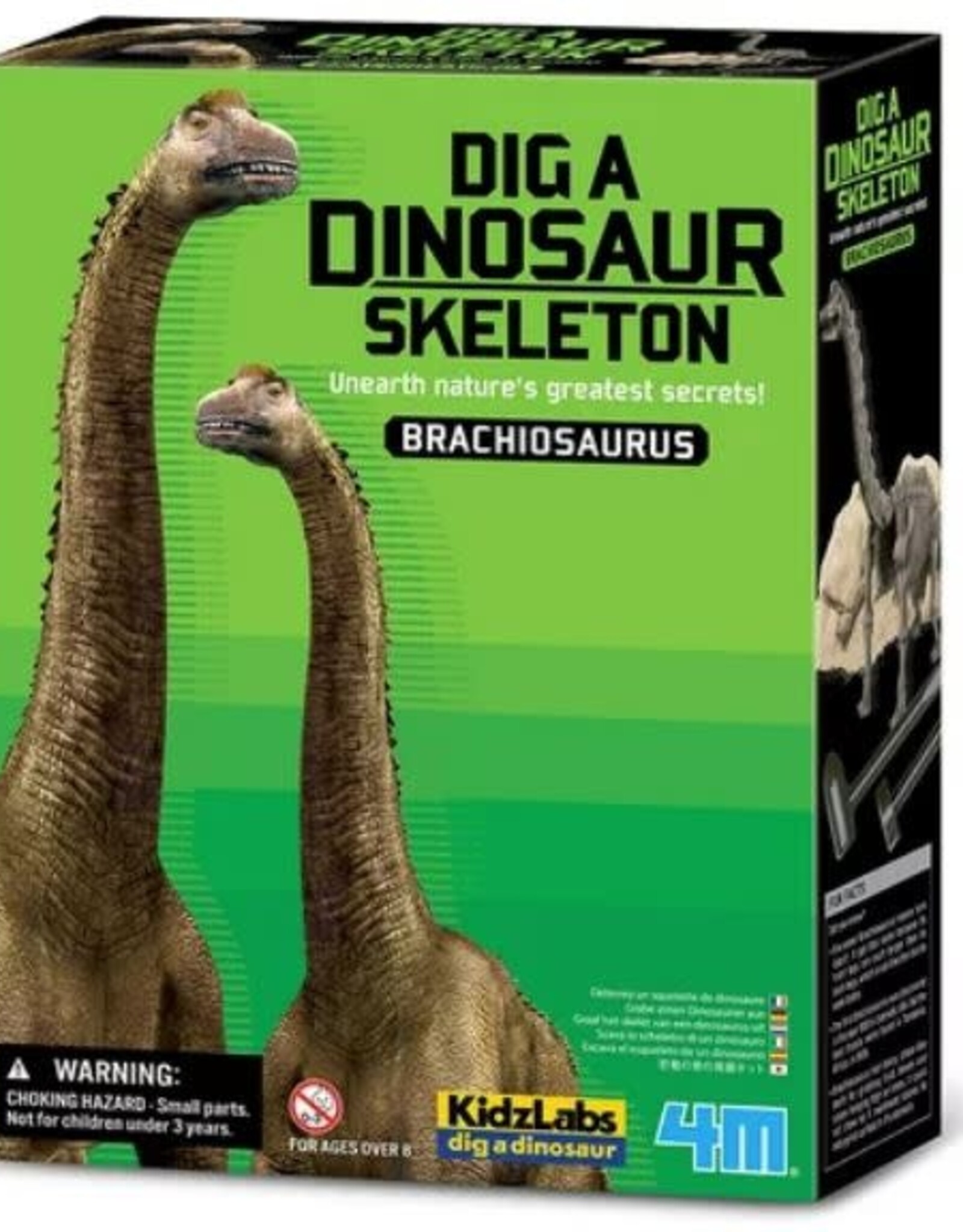 4M Dig a Brachiosaurus