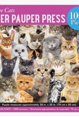 Peter Pauper Press PUZZLE ALL THE CATS 1000pc
