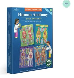 eeBoo HUMAN ANATOMY 48PC SET