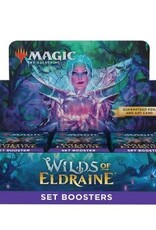 Magic the Gathering MTG Wilds of Eldraine Set Booster Asst.