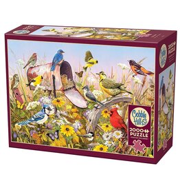 Cobble Hill Field Song 2000pc